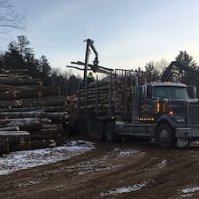 Timber-Sale-Select-Thinning-in-Campton-NH 2