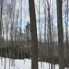 Timber-Sale-Select-Thinning-in-Campton-NH 4