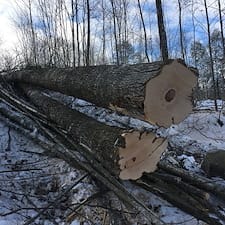 Timber-Sale-Select-Thinning-in-Campton-NH 5