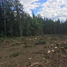 Wildlife Habitat Improvement in Stewartstown, NH