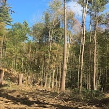 Wildlife-Habitat-Project-in-Acworth-NH 2