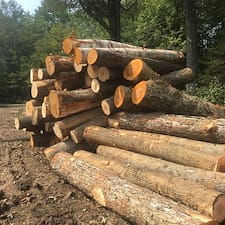 Wildlife-Habitat-Project-in-Acworth-NH 4