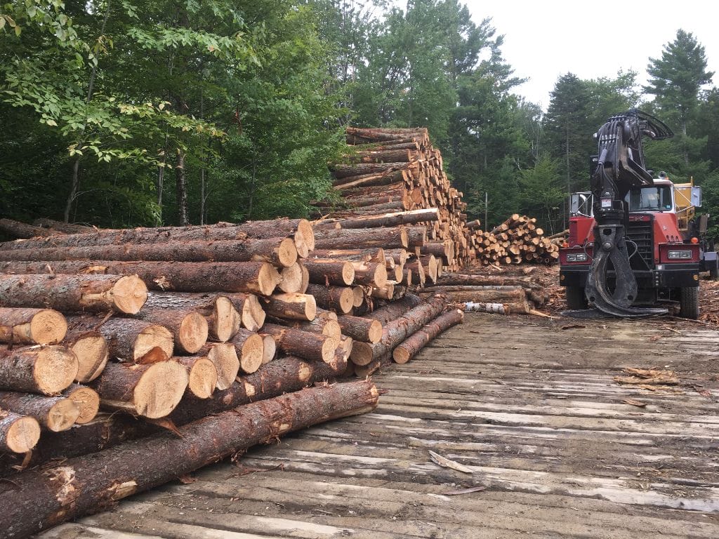 Wildlife Habitat Project in Acworth, NH Thumbnail