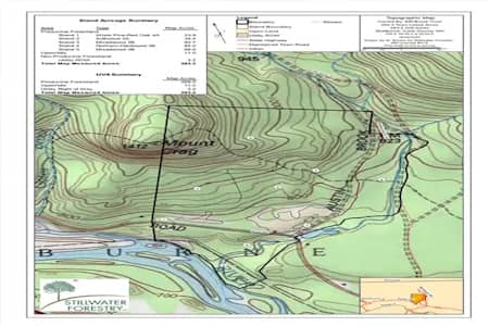 Forest Management Plans