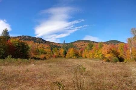 Pasture Clearing